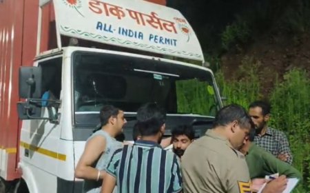 एपीएमसी नाके पर डाक पार्सल कंटेनर को रोकने पर अंदर 17 भैंसे और 8 कटड़े भरे बरामद  