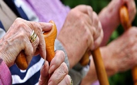 वरिष्ठ नागरिकों के लिए अलग तस्वीर पेश करता हिमाचल : बुजुर्गों के लिए घर ही सबसे सुरक्षित ठिकाना