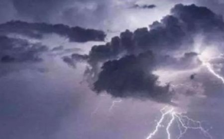 प्रदेश में दो सितंबर तक बारिश का येलो अलर्ट, कई जिलों में भारी बारिश होने की संभावना 