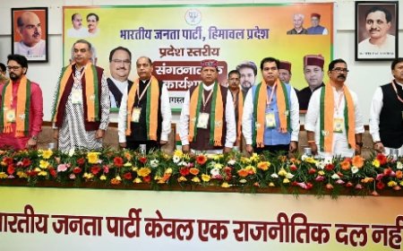 2027 के विधानसभा चुनाव के लिए भाजपा दो तिहाई बहुमत के साथ बनाएगी सरकार : डॉ बिंदल