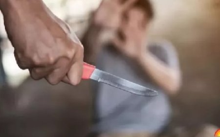 ठियोग की पराला सेब मंडी में देर रात एक बागवान पर दो अज्ञात बदमाशों ने चाकू से किया हमला 