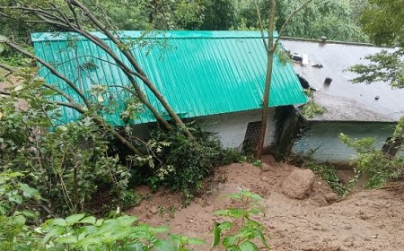 हमीरपुर जिले में 164 करोड़ पार कर गया नुक्सान का आंकड़ा,बारिश से जिले भर में व्यापक नुक्सान की सूचनाएं