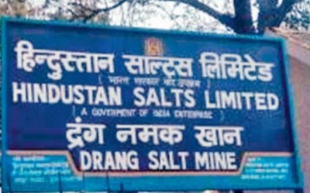 लोग बहुत जल्द चखेंगे चट्टानी नमक का स्वाद,समंदर के पानी से तैयार होने वाले साधारण नमक का होगा विकल्प
