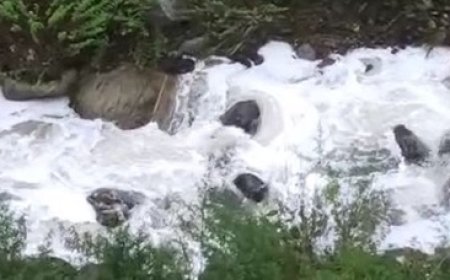 आनी क्षेत्र में आगे बढ़ रहा दुग्ध उत्पादन,स्थानीय लोगों को दिया जाएगा मिल्क चिलिंग प्लांट का काम   