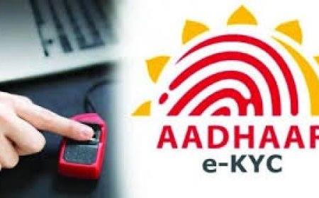 सोलन ज़िला में 70 प्रतिशत सामाजिक सुरक्षा योजना लाभार्थियों का ई.केवाईसी सत्यापन पूर्ण