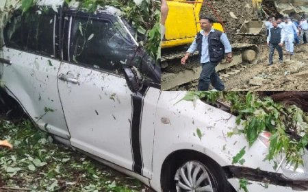 बारिश का कहर : प्रदेश में पांच जगह बादल फटने से कई घरों, वाहनों और सेब बगीचों को भारी नुकसान