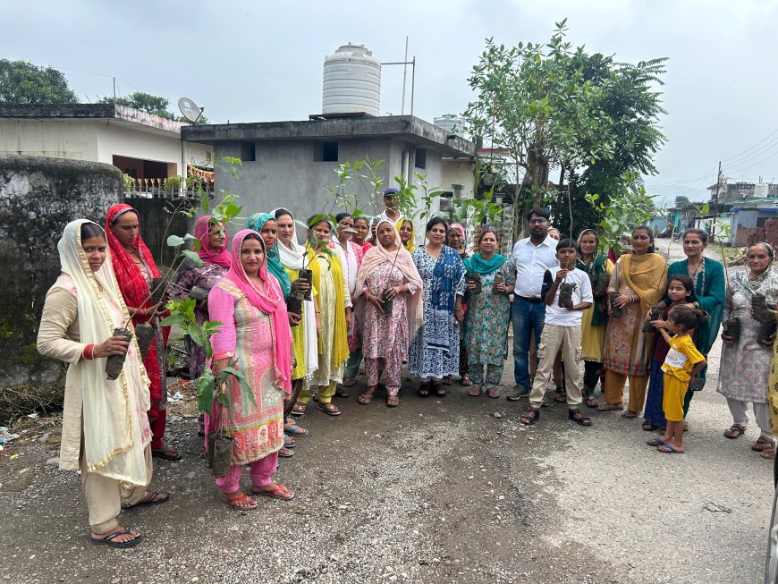 मेरा गाँव मेरा देश एक सहारा संस्था ने फतेहपुर में महिलाओं को वितरित किए फलदार पौधे