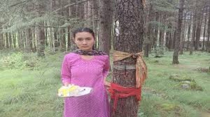 मनाली की बेटी कल्पना ने पूजा अर्चना के बाद पेड़ को बांधी राखी , बचपन में लगाया था देवदार का पाैधा