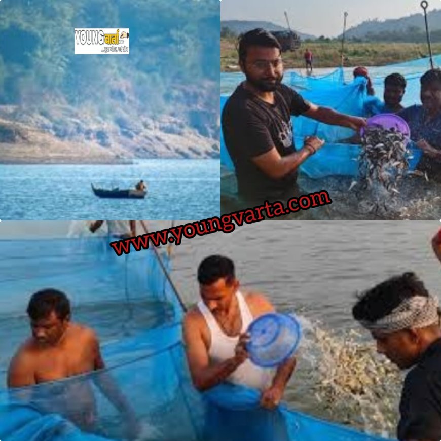 15 अगस्त के बाद लोग ले सकेंगे फिश का स्वाद , कल से पौंग झील में शुरू होगा मत्स्य आखेट  