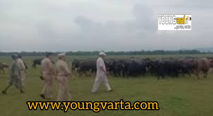 मवेशियों के साथ सेंक्चुरी एरिया से भगाए घुमंतू गुज्जर , एक्शन मोड़ में ज्वाली पुलिस 