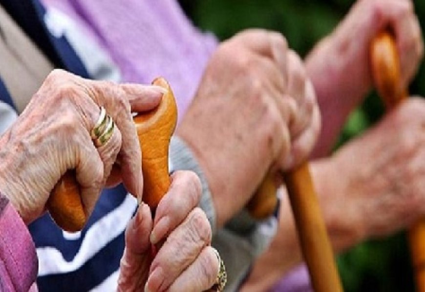 वरिष्ठ नागरिकों के लिए अलग तस्वीर पेश करता हिमाचल : बुजुर्गों के लिए घर ही सबसे सुरक्षित ठिकाना