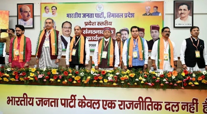 2027 के विधानसभा चुनाव के लिए भाजपा दो तिहाई बहुमत के साथ बनाएगी सरकार : डॉ बिंदल