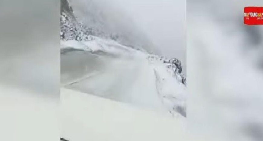 शिंकुला दर्रे में साल का पहला हिमपात, बर्फ से गुलजार हुई हिमाचल की वादियां......