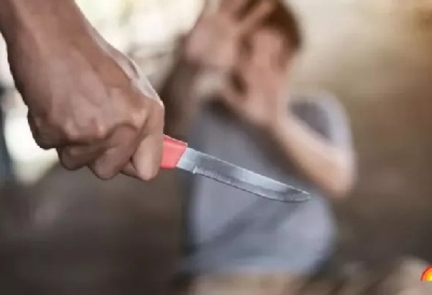 ठियोग की पराला सेब मंडी में देर रात एक बागवान पर दो अज्ञात बदमाशों ने चाकू से किया हमला 