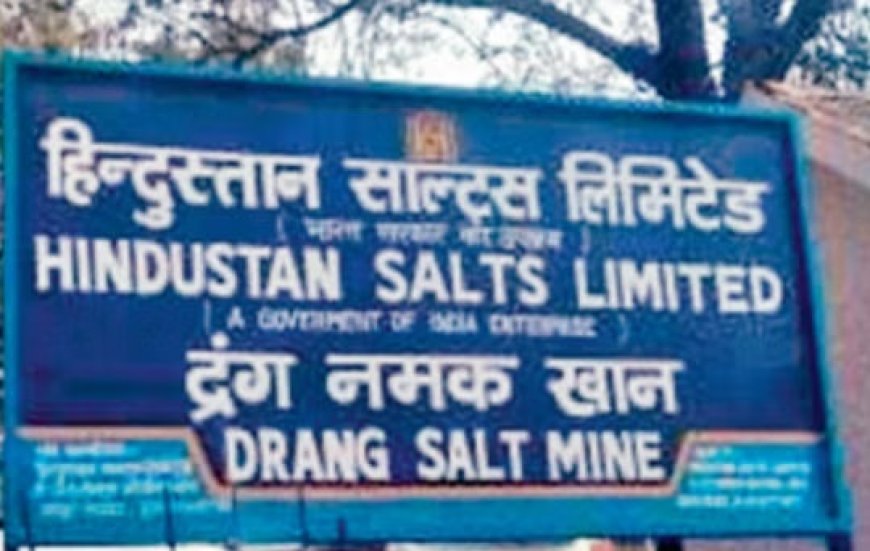 लोग बहुत जल्द चखेंगे चट्टानी नमक का स्वाद,समंदर के पानी से तैयार होने वाले साधारण नमक का होगा विकल्प   