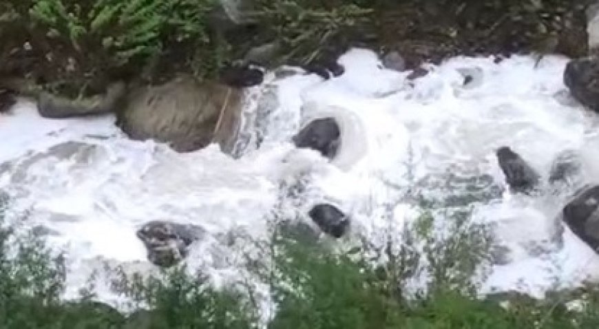 आनी क्षेत्र में आगे बढ़ रहा दुग्ध उत्पादन,स्थानीय लोगों को दिया जाएगा मिल्क चिलिंग प्लांट का काम