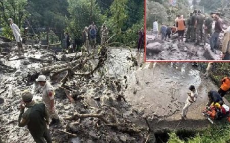 दुःखद : जुन्गा और कोटखाई क्षेत्रों में भूस्खलन की दो अलग-अलग घटनाओं में तीन लोगों की मौत
