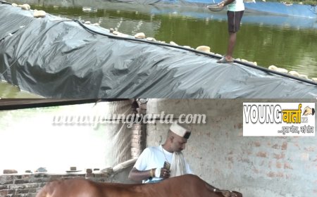 ग्रामीण आर्थिकी की मिसाल बने दियोटसिद्ध क्षेत्र के प्रगतिशील किसान कृष्ण चंद ,घर में ही कर रहे हैं लाखों की कमाई 