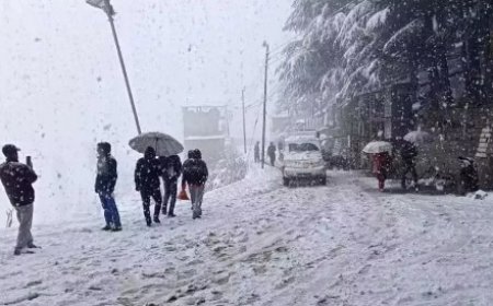 हिमाचल में भारी बारिश का दौर जारी, ऊंची चोटियों पर ताजा बर्फबारी, तापमान में आई गिरावट