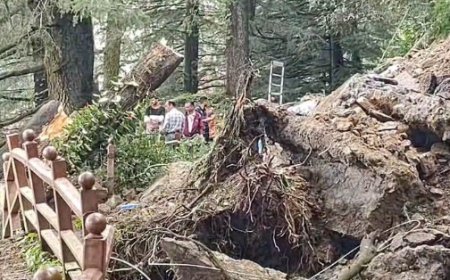 प्रदेश में बारिश-भूस्खलन से 1001 सड़कें बाधित, 1992 ट्रांसफार्मर और 472 जलापूर्ति योजनाएं बंद 