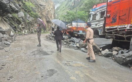 उपायुक्त किन्नौर ने भूस्खलन प्रभावित क्षेत्रों का दौरा कर शीघ्र मार्ग बहाली के निर्देश दिए