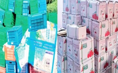 प्राकृतिक आपदा से करोड़ों की सेब बागवानी पर मंडराया खतरा,शिमला में 3.15 लाख पेटी और कुल्लू में एक लाख क्रेट सेब फंसा