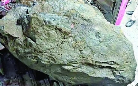 नेशनल हाईवे-5 पर कालमिट्टी के पास चलती बस पर चट्टानें गिरने से दो लोगों की मौत,11 लोग गंभीर