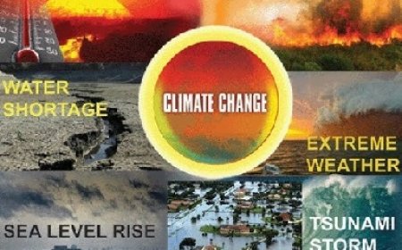 प्रदेश में जलवायु परिवर्तन, प्राकृतिक आपदा बनी चिंता का विषय,ज्ञान विज्ञान समिति द्वारा संगोष्ठी का आयोजन