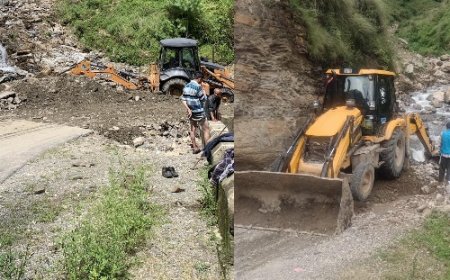 सेब को मंडियों तक पहुंचाना सरकार की प्राथमिकता : उपायुक्त