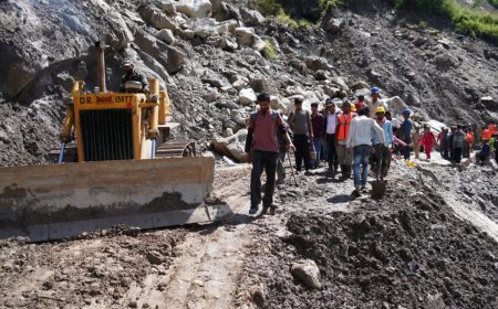 राजस्व मंत्री जनजातीय जिला किन्नौर के बागवानों की नकदी फसलों को मंडियों तक पहुंचाने के लिए निरंतर प्रयासरत