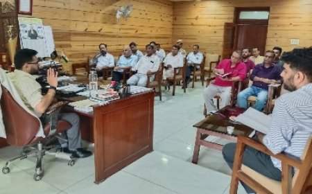राज्य स्तरीय यमुना शरद् महोत्सव 04 से 06 अक्तूबर तक किया जाएगा आयोजित : गुंजित चीमा