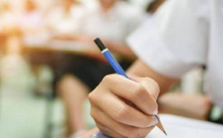 शिक्षा निदेशालय ने प्रवक्ताओं को छठी से 12वीं कक्षा तक के विद्यार्थियों को पढ़ाने को लेकर निर्देश जारी  