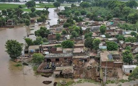 बॉलीवुड  किंग  शाहरुख खान की मीर फाउंडेशन ने पंजाब में बाढ़ प्रभावित परिवारों तक पहुंचाई मदद