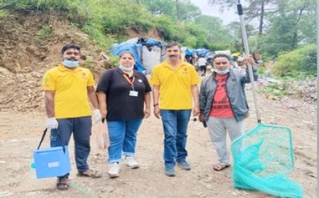 शिमला में 3,507 कुत्तों को लगा एंटी-रेबीज का टीका, टीकाकरण अभियान सफलतापूर्वक आयोजित