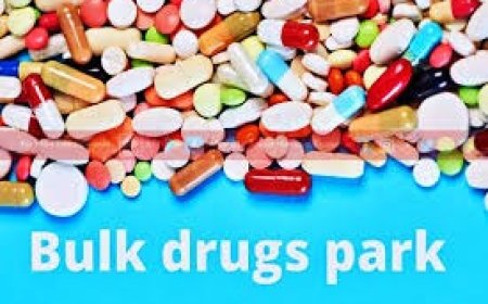 ऊना बनने वाले बल्क ड्रग पार्क को केंद्रीय पर्यावरण, वन और जलवायु परिवर्तन मंत्रालय से मिली पर्यावरणीय मंजूरी