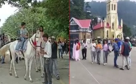 प्राकृतिक आपदा की मार झेलने के बाद प्रदेश में एक बार फिर पटरी पर लौटने लगा पर्यटन कारोबार  