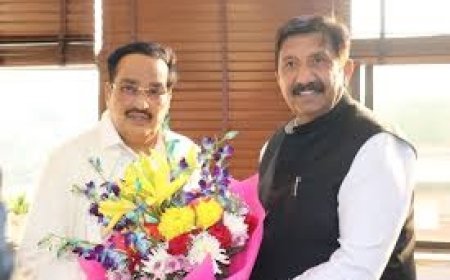 उप मुख्यमंत्री ने केंद्रीय जल संसाधन मंत्री से की मुलाकात, केंद्र सरकार से मांगी त्वरित मदद 