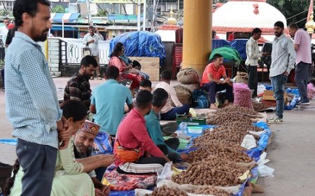 नई फसल के आगमन का प्रतीक है सैर पर्व, पेठू पूजन से लेकर अखरोट खेलने की रही परंपरा