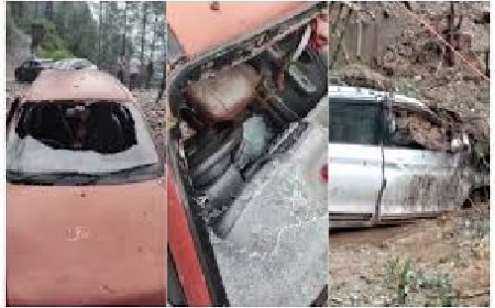 शिमला में बीती रात बारिश से भारी नुकसान,जगह-जगह पेड़ गिरने और लैंडस्लाइड की घटनाएं आई सामने