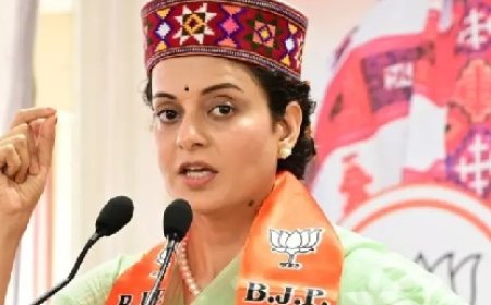 सांसद कंगना रणाैत ने राज्य सरकार पर पेड़ों को काटकर लकड़ी बेचने के लगाए गंभीर आरोप 