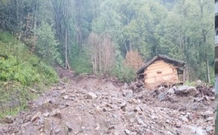किन्नौर के निगुलसरी के थाच गांव में देर रात बादल फटने से तबाही,उपजाऊ जमीन सहित सेब बगीचों को भारी नुकसान