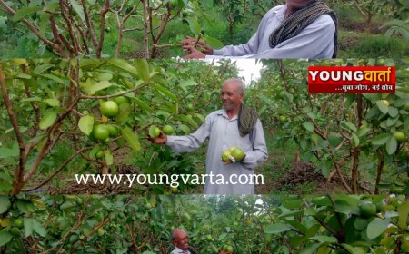 ऊना में अंगीकार अभियान-2025 के तहत सजा मैदान , पीएम आवास योजना-शहरी 2.0 पर रहा फोकस