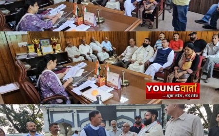 जन समस्याओं को लेकर गंभीर नहीं सरकार और प्रशासन , राजीव बिंदल की अगुवाई में डीसी से मिले लोग 