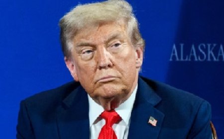 फार्मा एक्सपोर्ट पर अमेरिका ने 100 फीसदी टैरिफ का किया ऐलान,हिमाचल समेत भारत के दवा उत्पादकों पर पड़ेगा असर