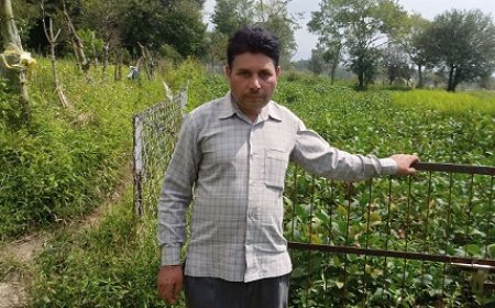 सफलता की कहानी  : सरकार की योजनाओं से प्रगतिशील किसान रोशन लाल की जिंदगी में आया बदलाव