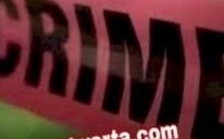 कांगड़ा में जमीनी विवाद को लेकर भतीजे ने की चाचा की हत्या , आरोपी गिरफ्तार