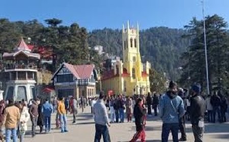 दिवाली की छुट्टियों से पहले हिमाचल के पर्यटन स्थलों में लौटी रौनक,कसौली सहित अन्य पर्यटन स्थल सैलानियों से सराबोर  