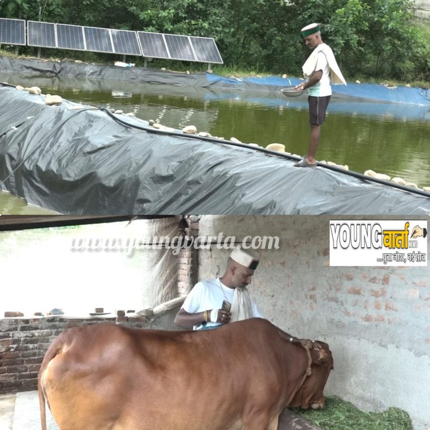 ग्रामीण आर्थिकी की मिसाल बने दियोटसिद्ध क्षेत्र के प्रगतिशील किसान कृष्ण चंद ,घर में ही कर रहे हैं लाखों की कमाई 