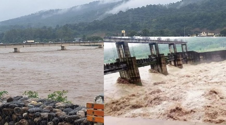 पांवटा साहिब : यमुना ने दिखाया रौद्र रूप, चारों तरफ खेत खलियान सब जलमग्न