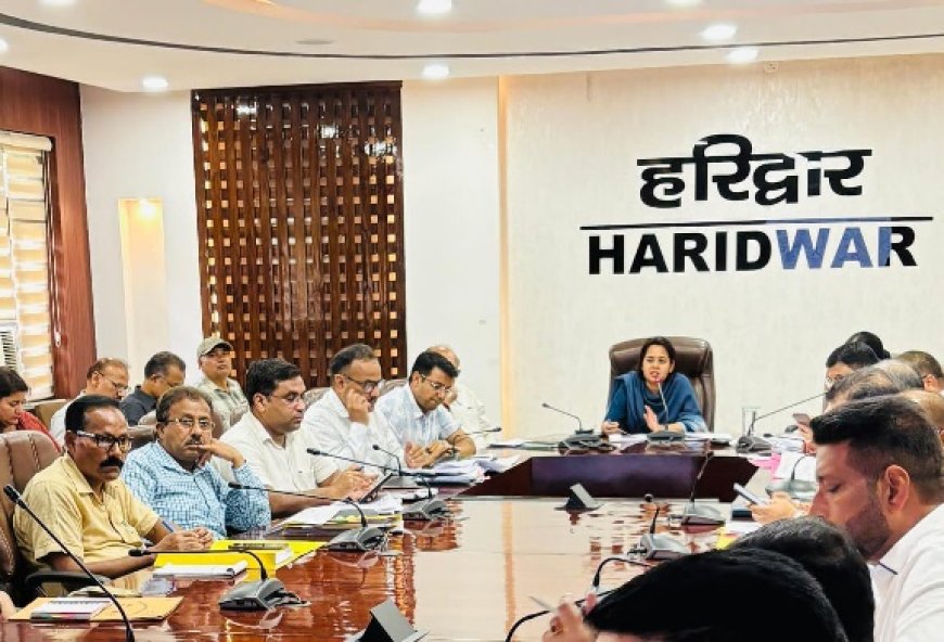 आयुक्त गढ़वाल मंडल विनय शंकर पाण्डेय ने वीडियो कांफ्रेंसिंग के माध्यम से मण्डलीय विकास कार्यों की समीक्षा की